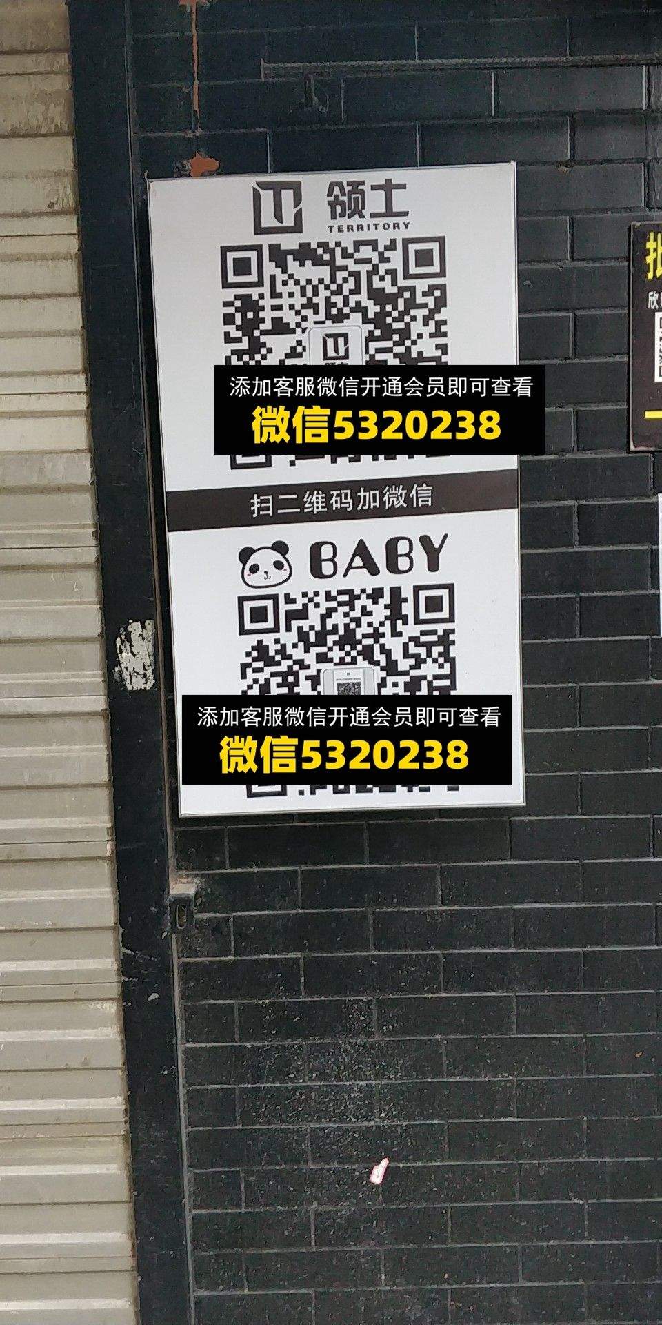 领土 baby