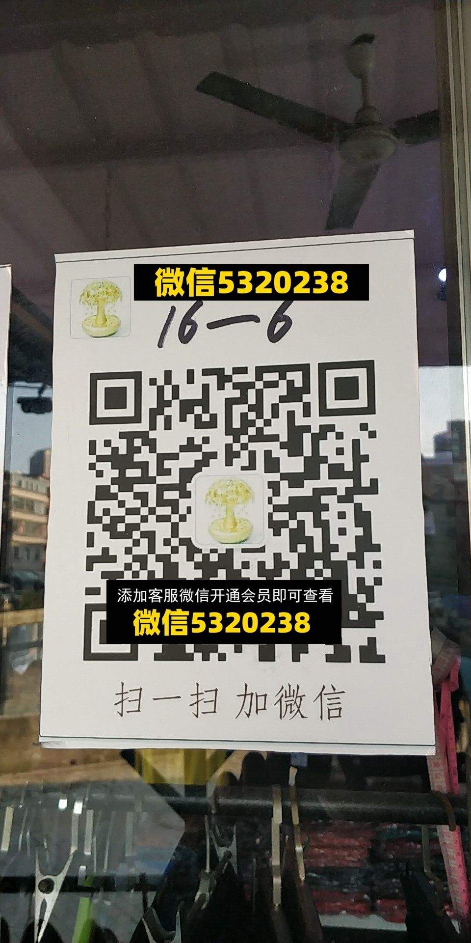 马红霞