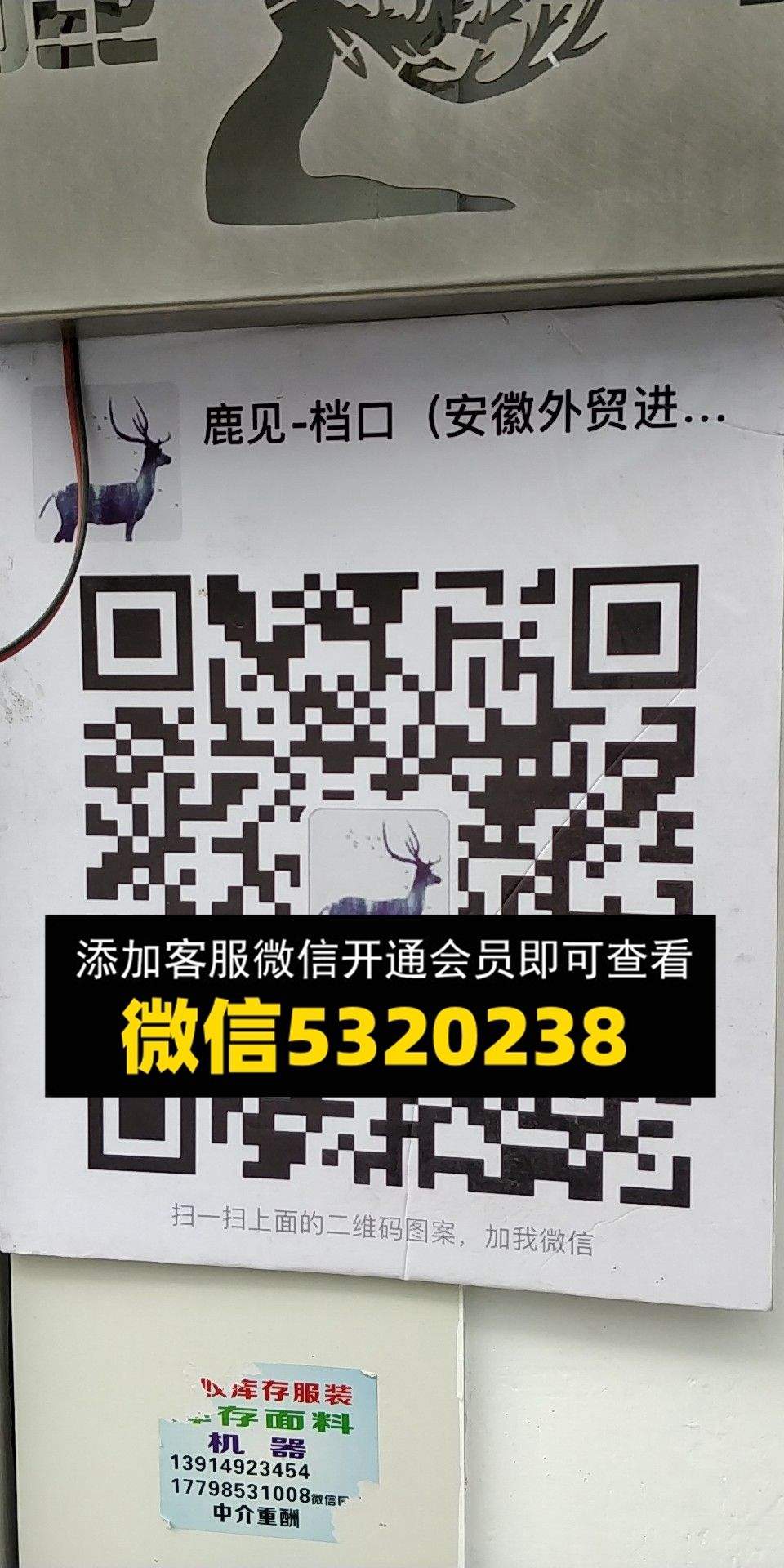 鹿见