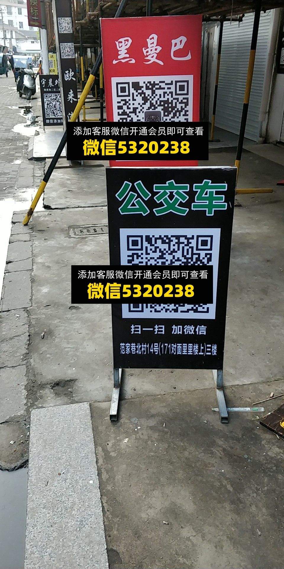 黑曼巴 公交车