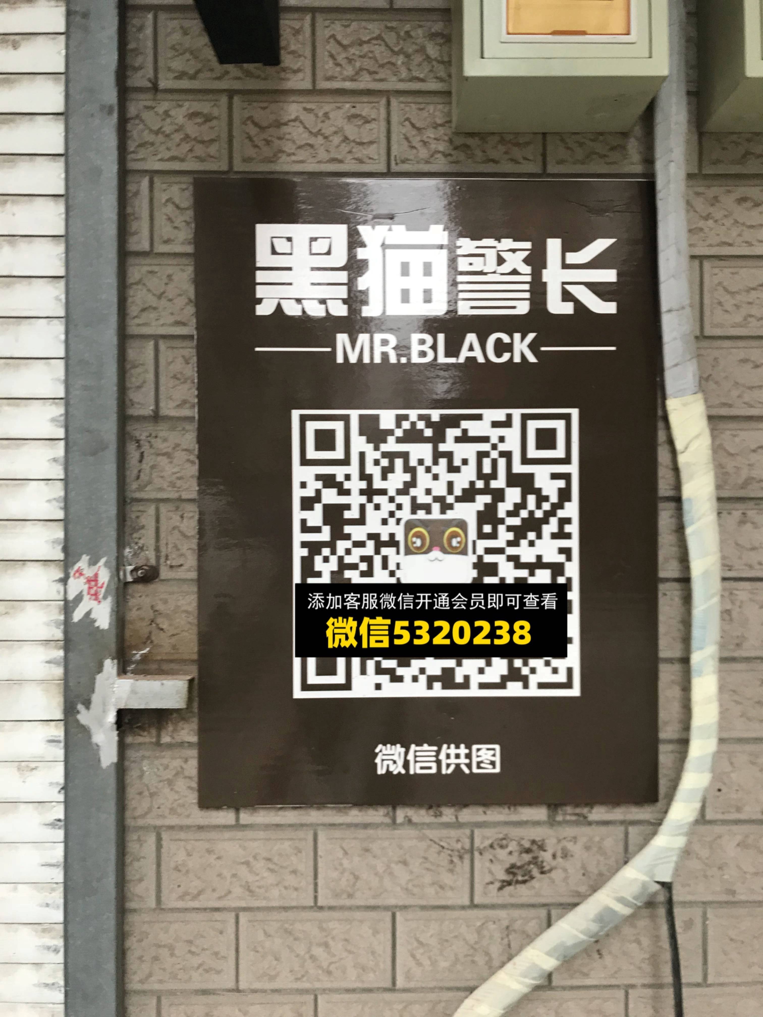 黑猫警长