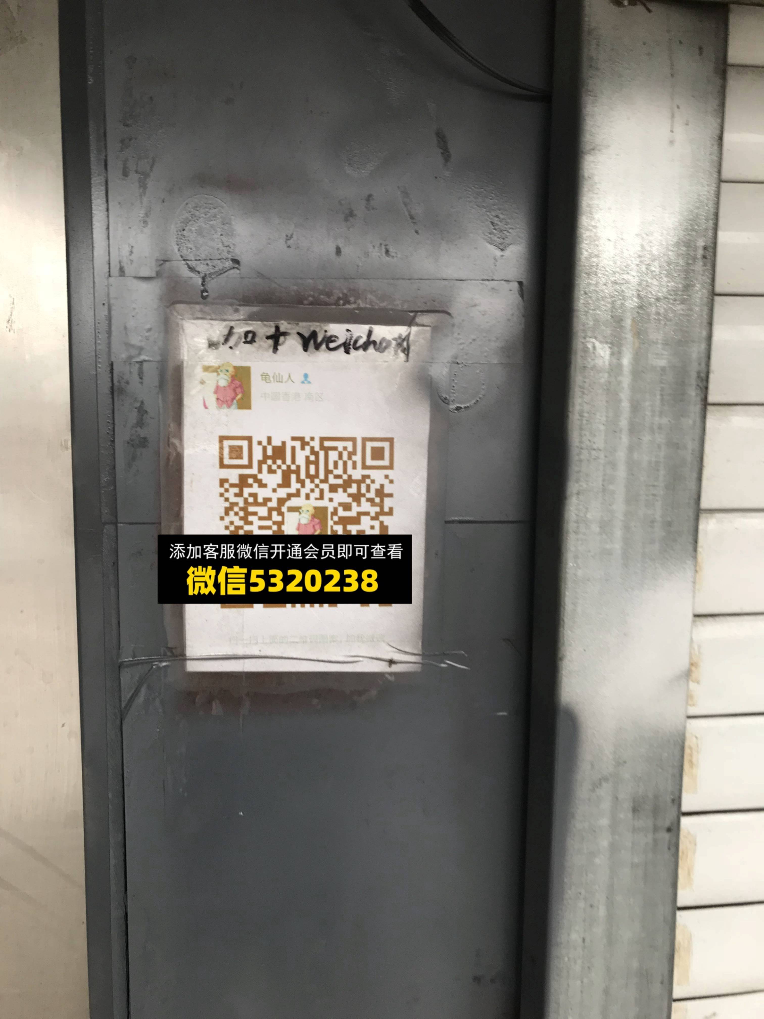 龟仙人