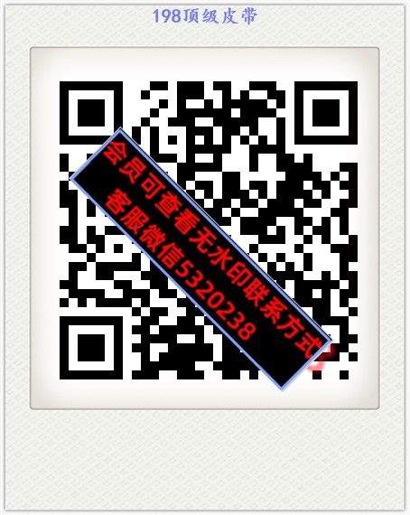 198顶级皮带