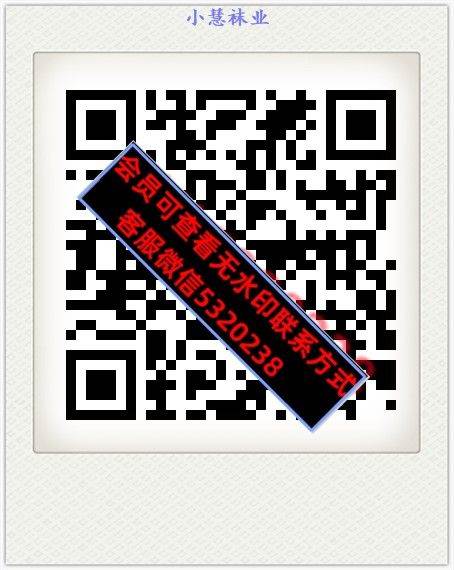 小慧袜业