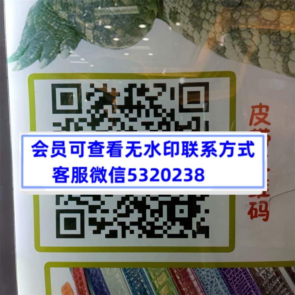 AC精品皮带