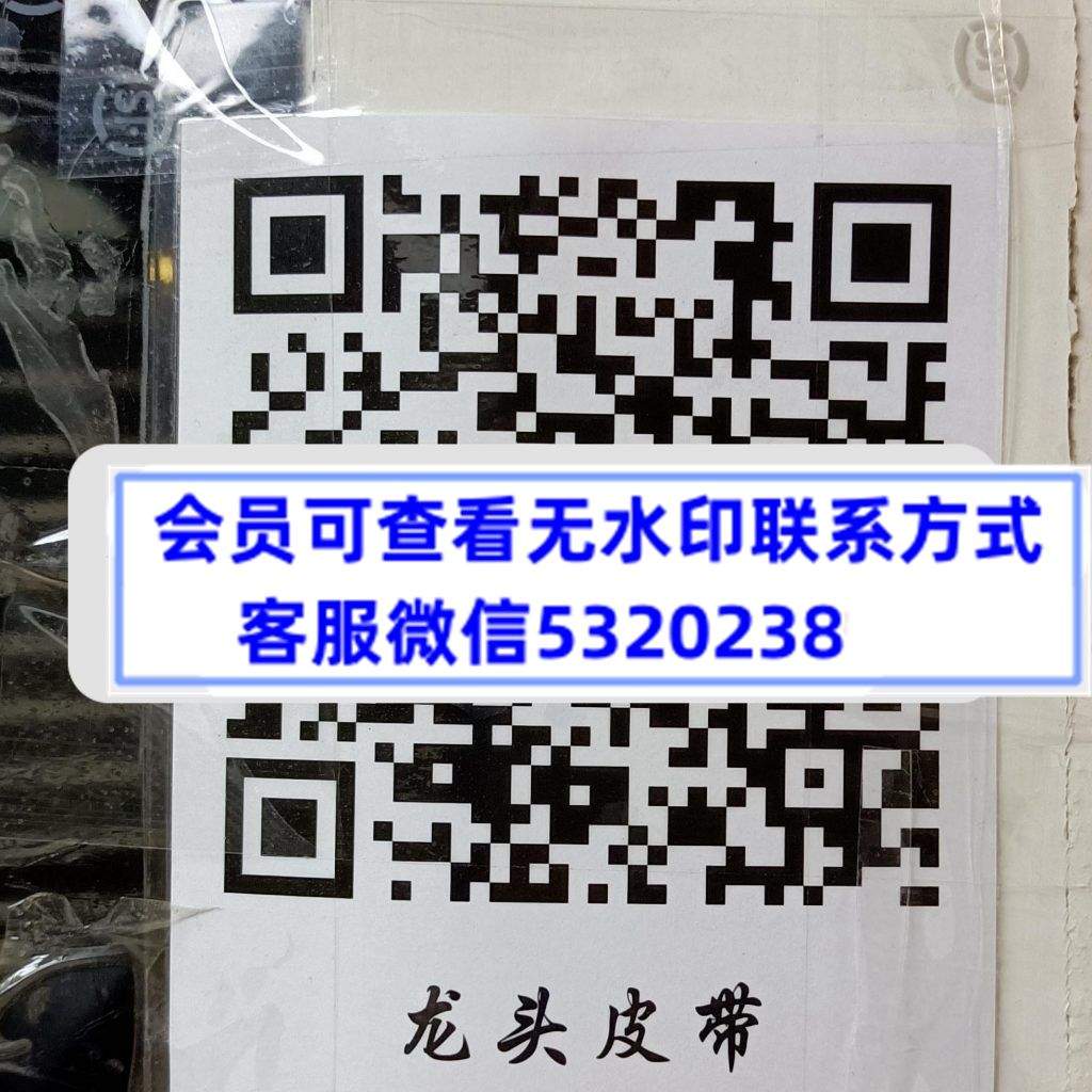 龙头皮带