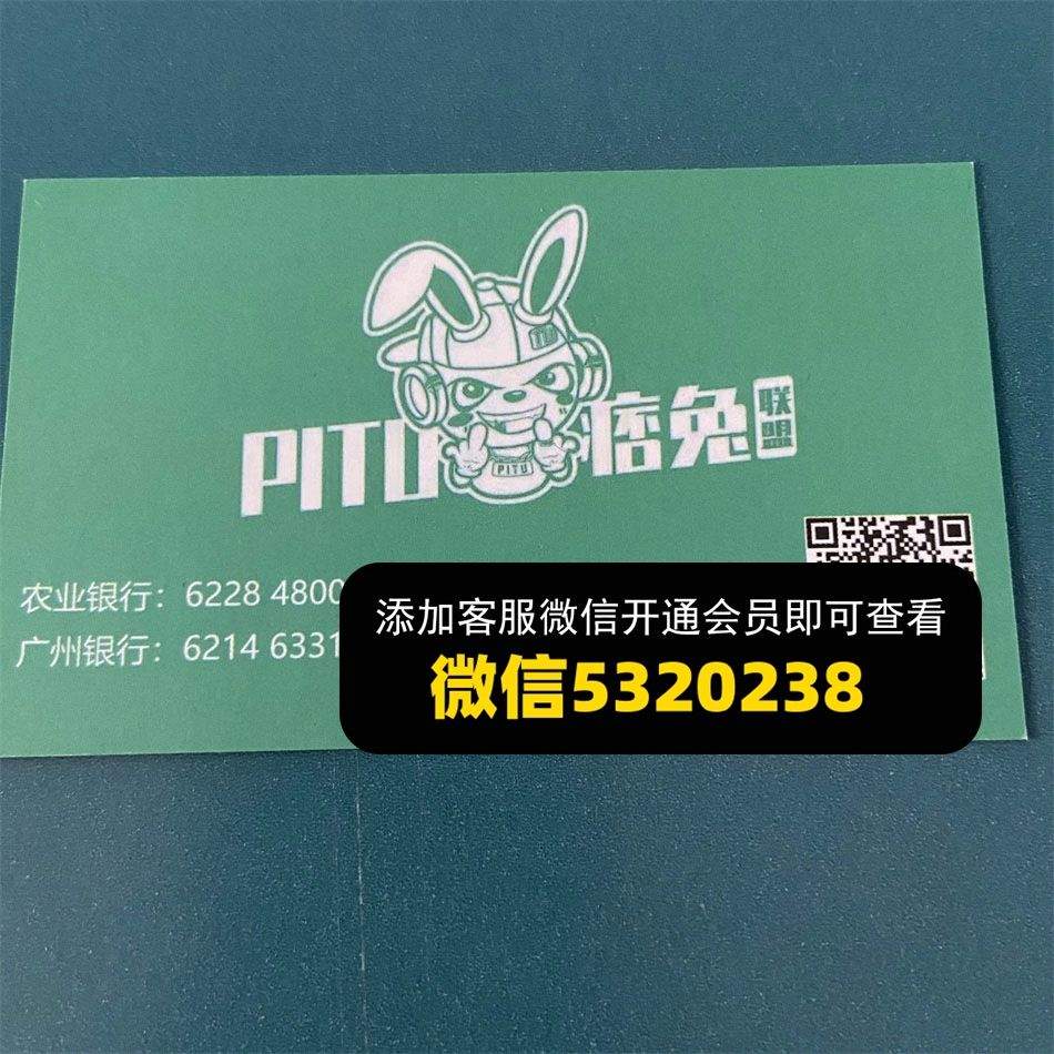 痞兔联盟