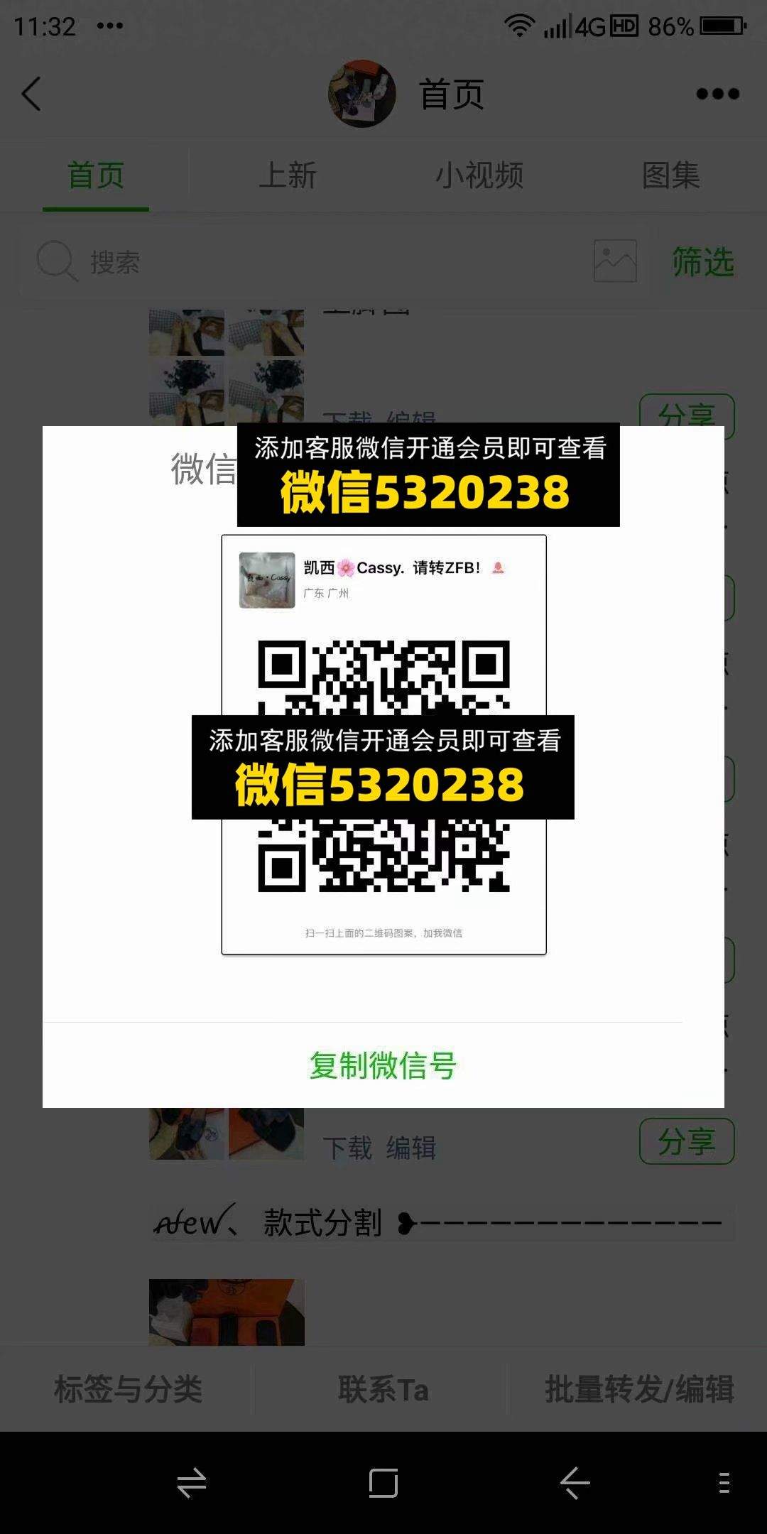 凯西