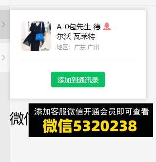 广州高端包包货源 包先生