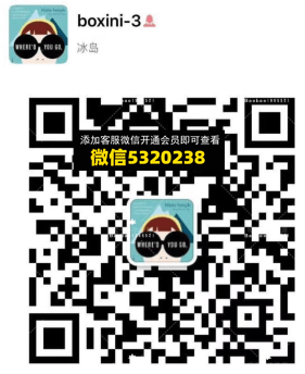 高端包包 小波希妮