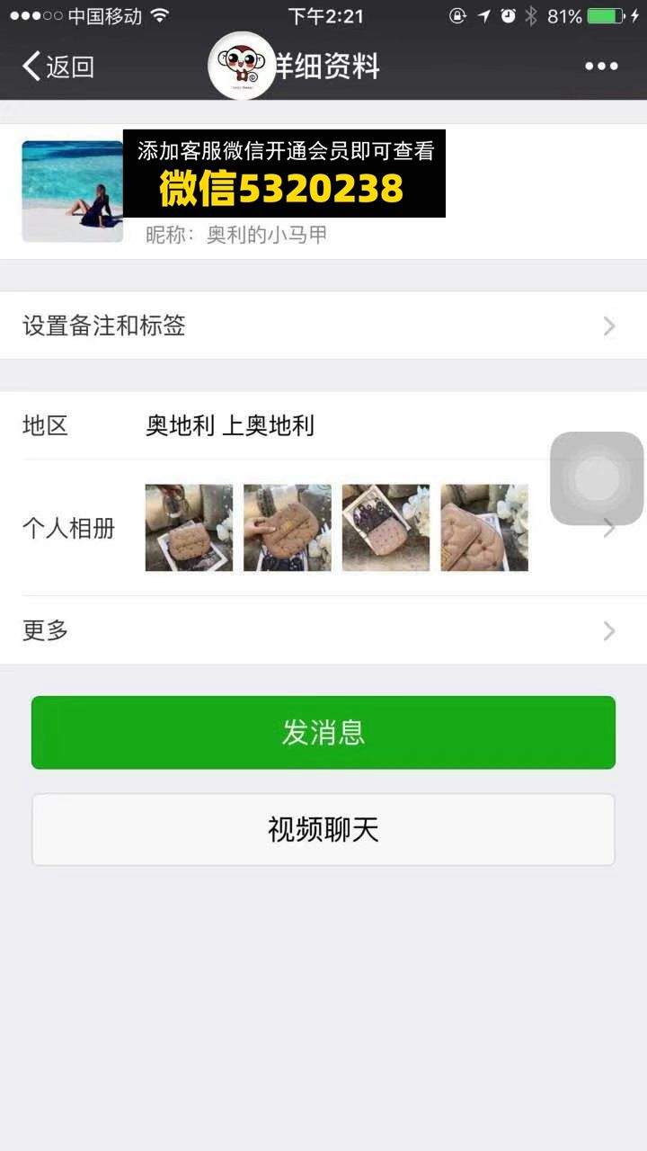 高端包包 迪奥 奥利的小马甲