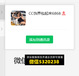 高端饰品包包 CC饰界