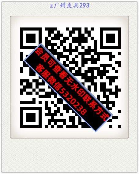 z广州皮具293