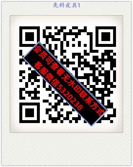 先科皮具1