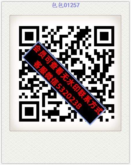 包包01257