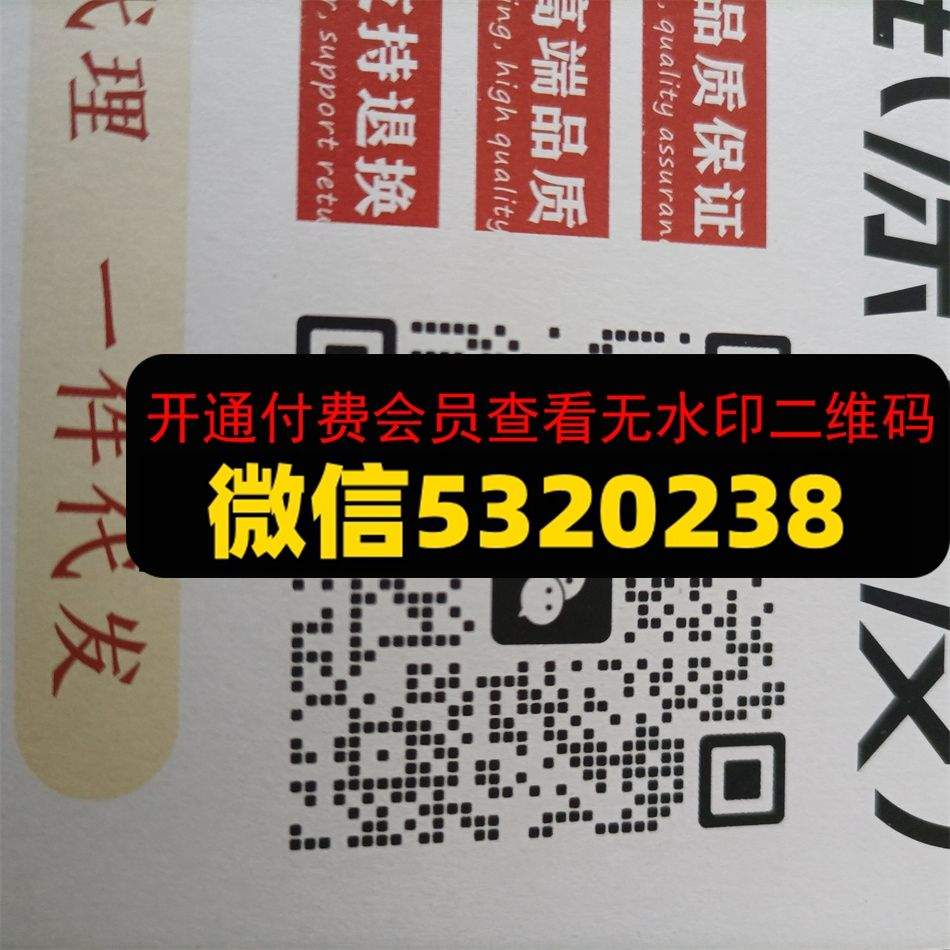 广州皮具294