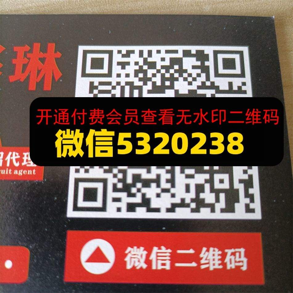 广州皮具315