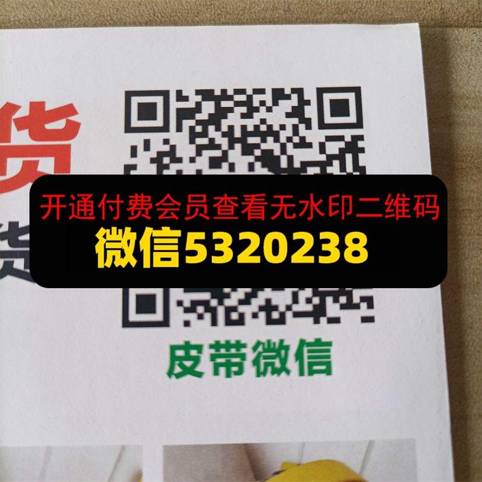 广州皮带批发