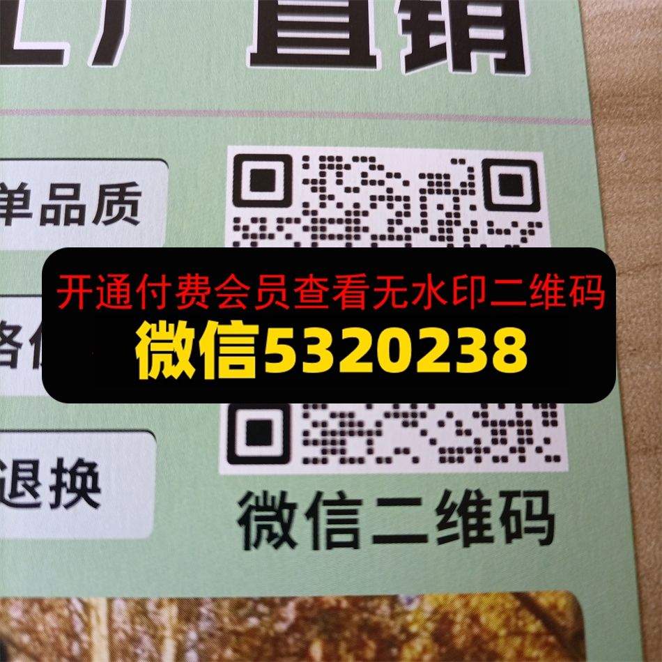 志尚皮具