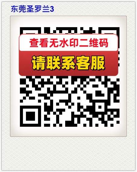 东莞圣罗兰3