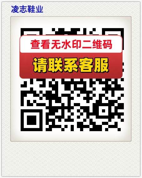 凌志鞋业