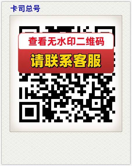卡司总号