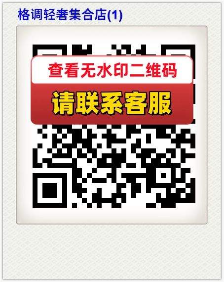 格调轻奢集合店(1)