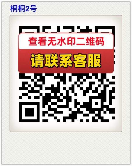 桐桐2号