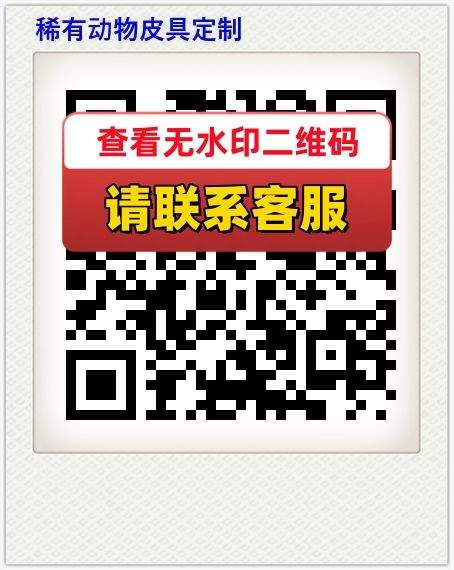 稀有动物皮具定制
