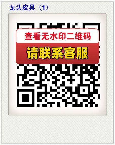 龙头皮具（1）