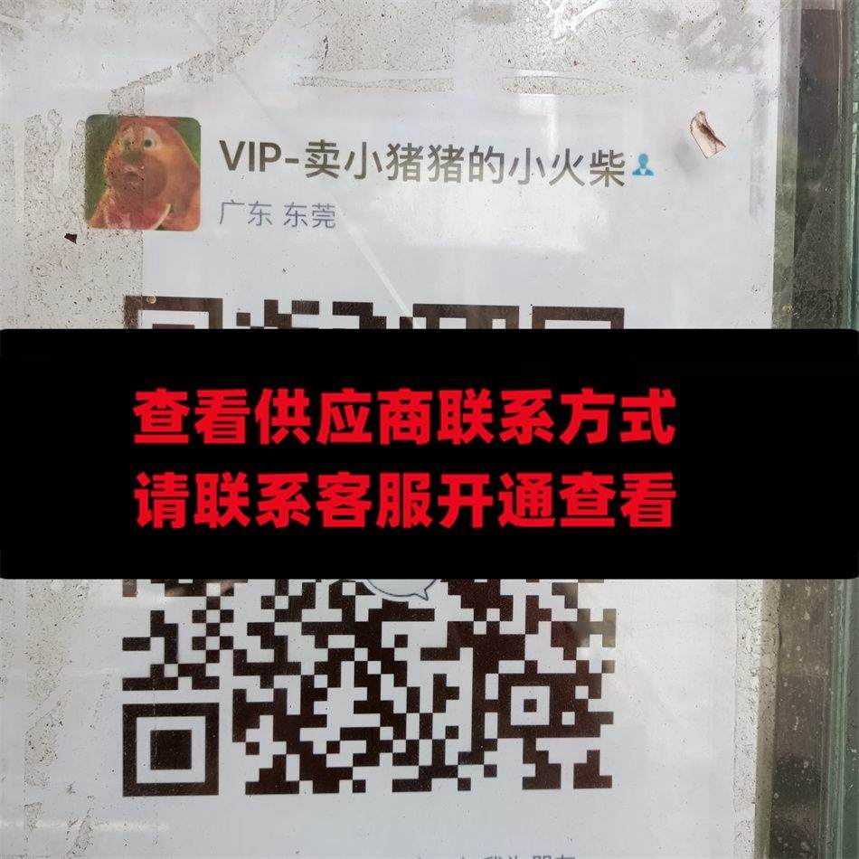 卖小猪猪的小火柴
