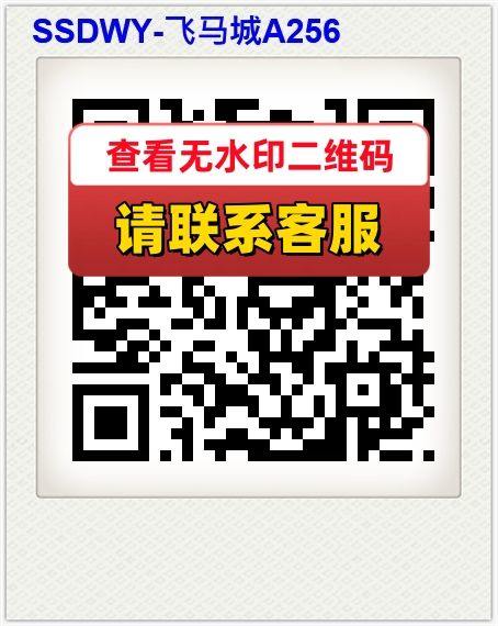SSDWY-飞马城A256