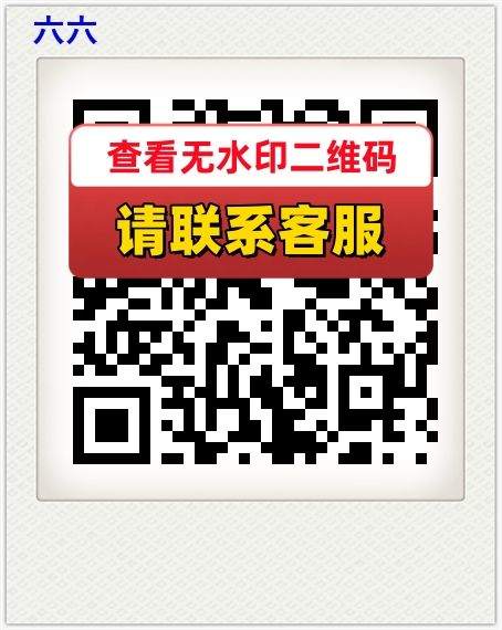 六六
