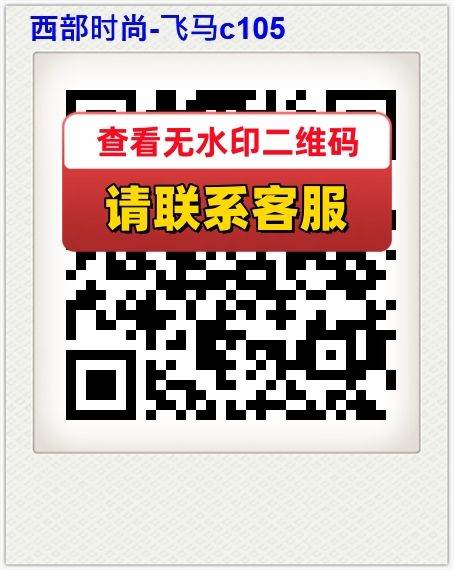 西部时尚-飞马c105