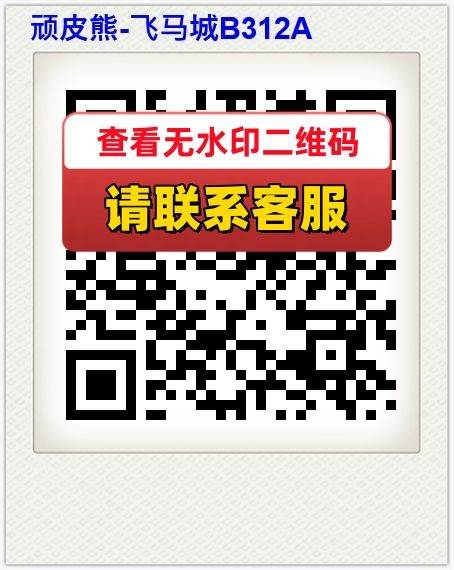 顽皮熊-飞马城B312A