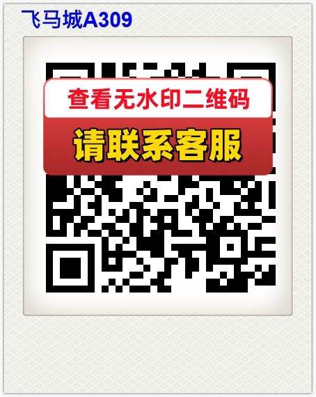 飞马城A309
