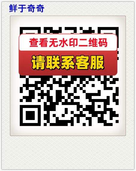 鲜于奇奇