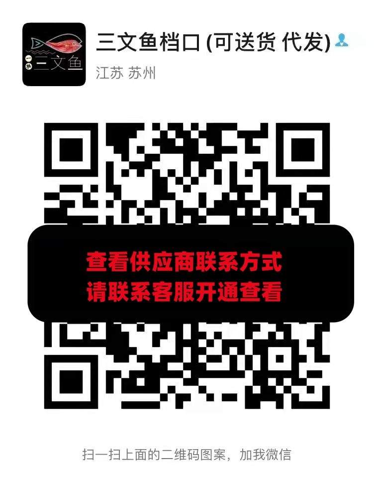 三文鱼档口
