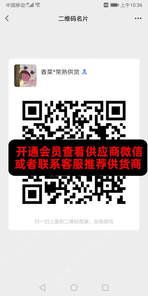 香菜常熟供货