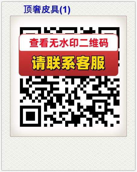 顶奢皮具(1)