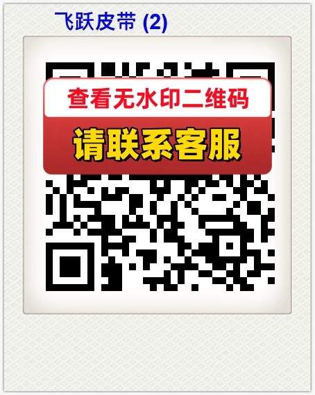 飞跃皮带 (2)