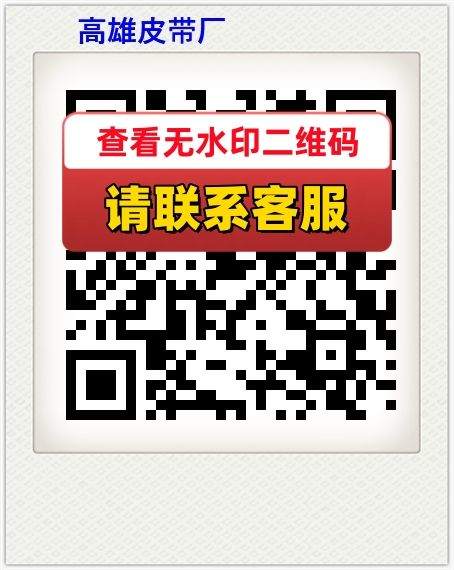 高雄皮带厂