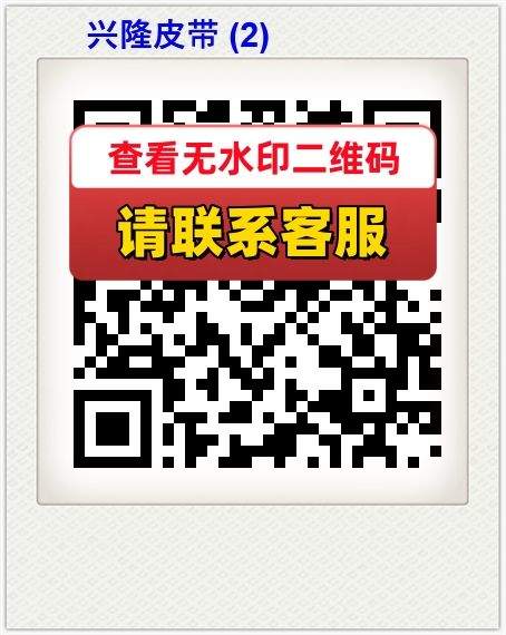 兴隆皮带 (2)