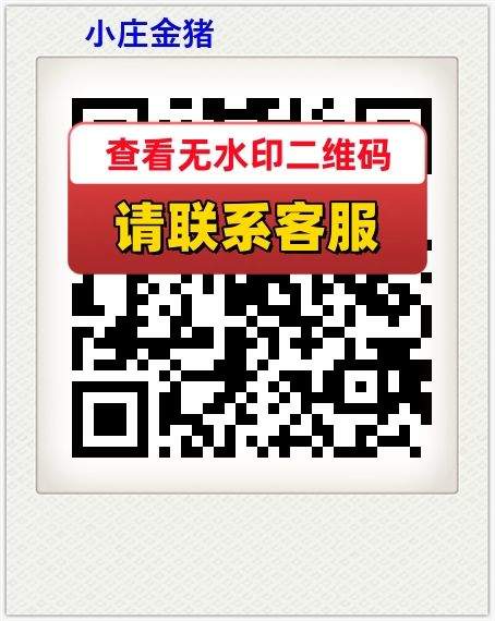 小庄金猪